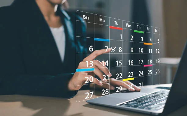 person using puzutask com to organize daily tasks and productivity goals online
