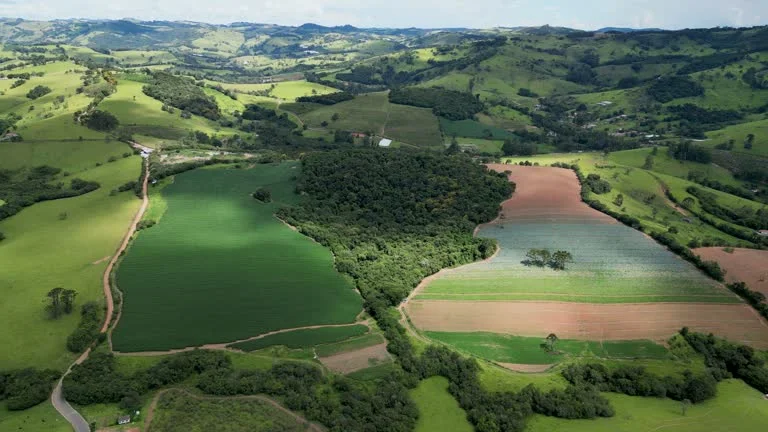 Agricultural landscape in Minas Gerais Brazil where Sérya Alimentos sources fresh potatoes for frozen food production