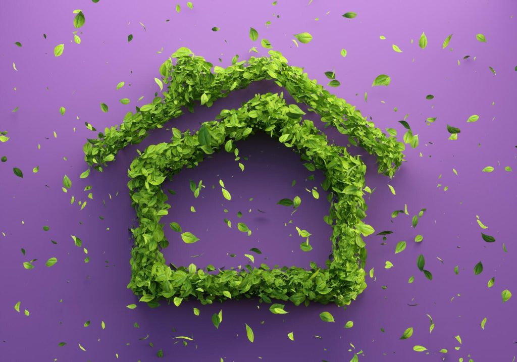 From Farm to Table to Homes: A Journey in Sustainable Living