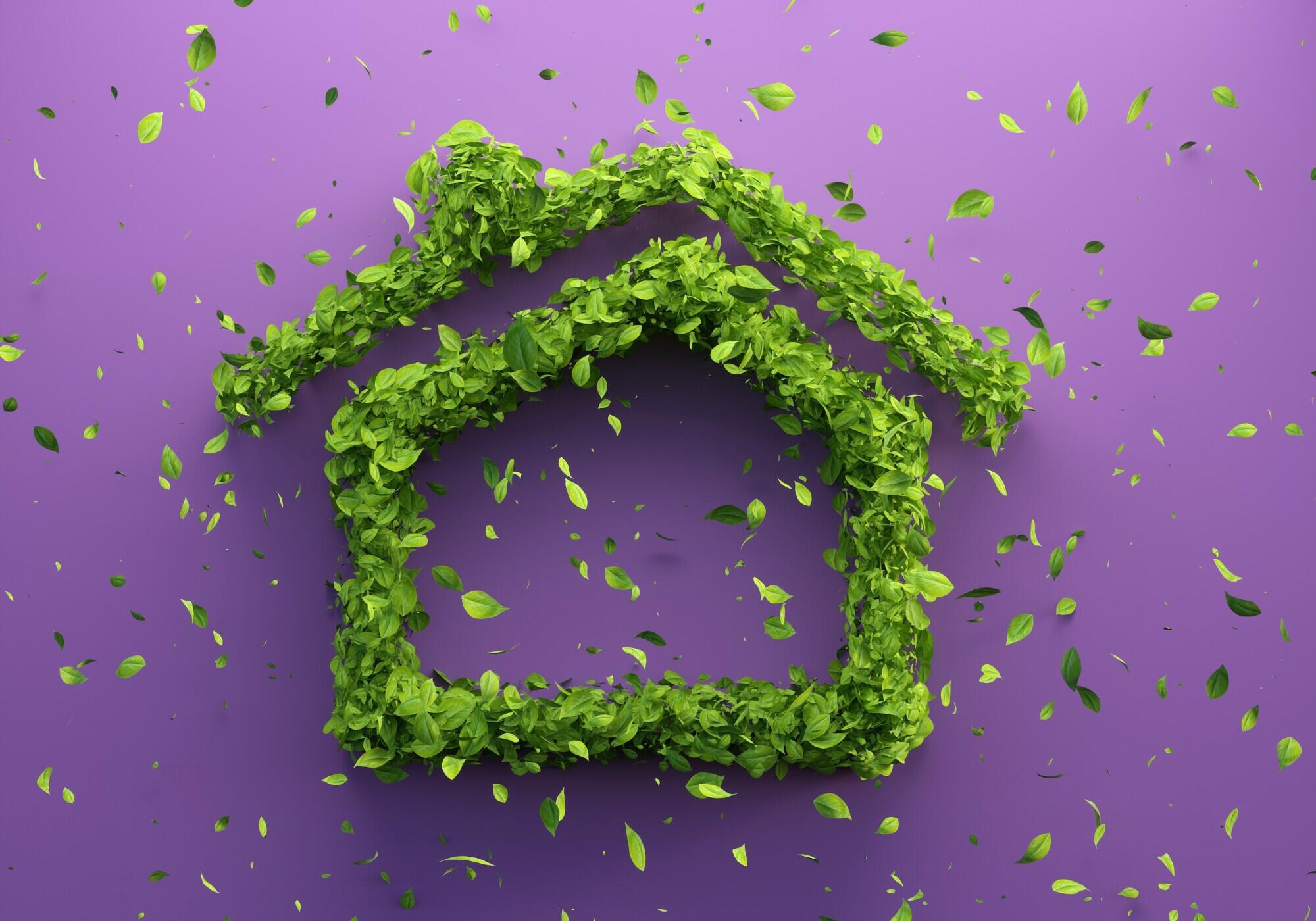 From Farm to Table to Homes: A Journey in Sustainable Living