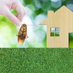 Pest Control Treatment